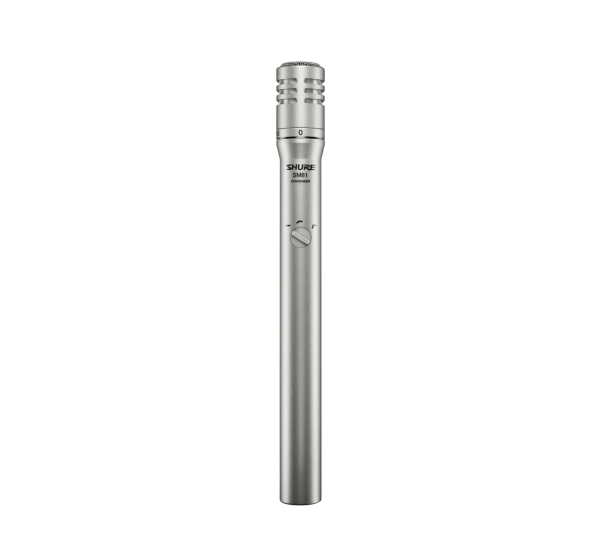SM81